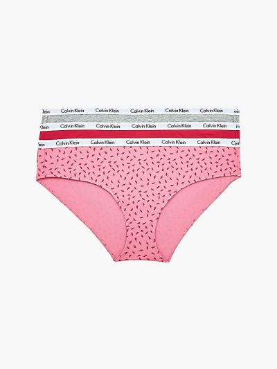 Calvin Klein Underwear HU510536 | Calvin Klein Carousel Plus Size 3 Pack Női Bikini Alsó Szürke / Ró